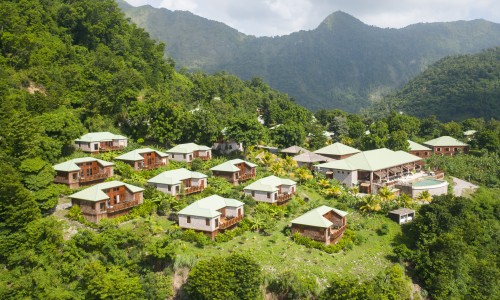 Jungle Bay Dominica